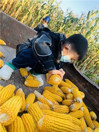 微信图片_20201027143028.jpg