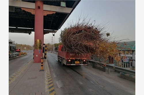 微信图片_20201109133704.jpg