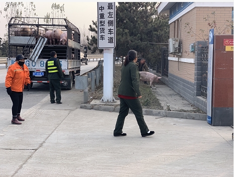 微信图片_20201201161145.png
