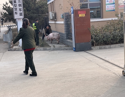 微信图片_20201201161448.png