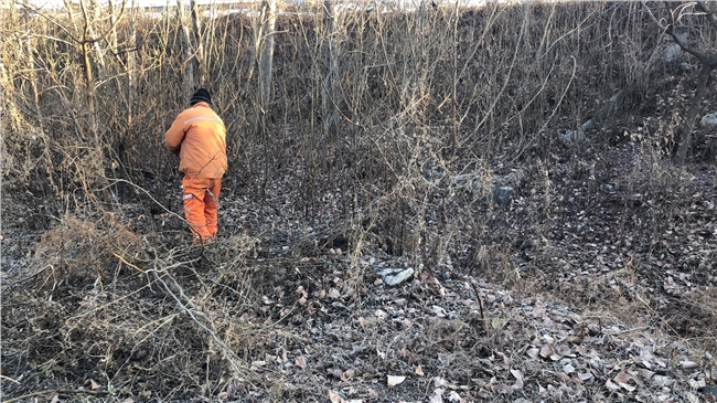 75de2f62ed9761a9462aa238a7d0470.jpg