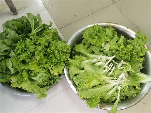 微信图片_20210608170033.jpg