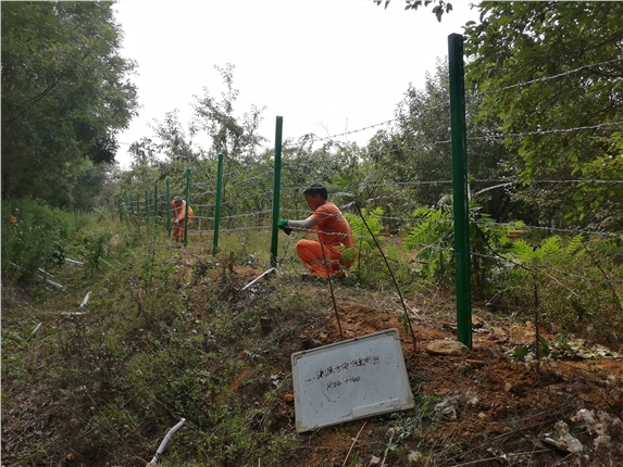 2021.06.28 G9511 K24+140 涞源方向 修复刺丝 施工中.jpg