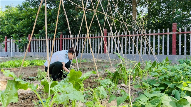 微信图片_20220527095938.jpg 微信图片_20220527095938.jpg