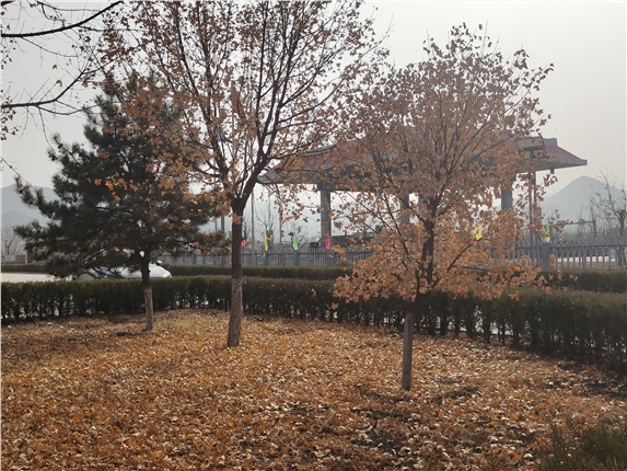 微信图片_20221102153456.jpg 微信图片_20221102153456.jpg