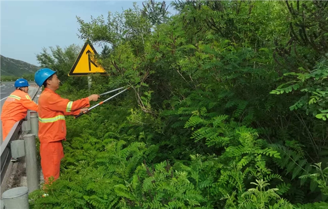 易县养护工区修剪遮挡树枝 筑牢道路安全通行防线.png 易县养护工区修剪遮挡树枝 筑牢道路安全通行防线.png