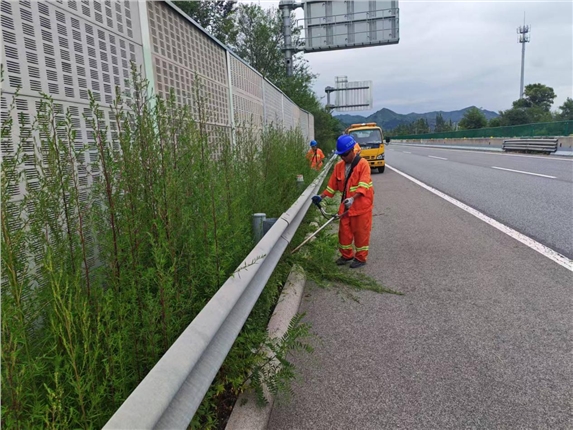 易县养护工区清理路肩杂草 美化路容保障通行.png 易县养护工区清理路肩杂草 美化路容保障通行.png